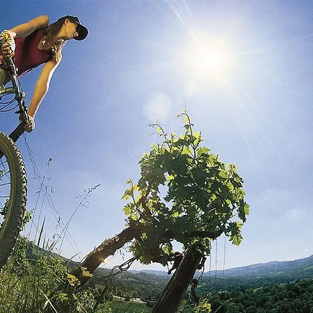 Sonnreich - Thermenhotel Loipersdorf 4*