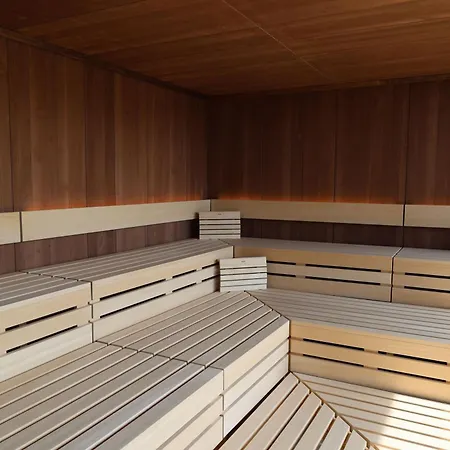 达桑临驰 - 洛泊多夫温泉酒店 4*