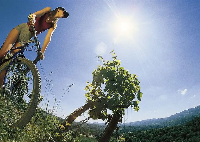 Sonnreich - Thermenhotel Loipersdorf 4*