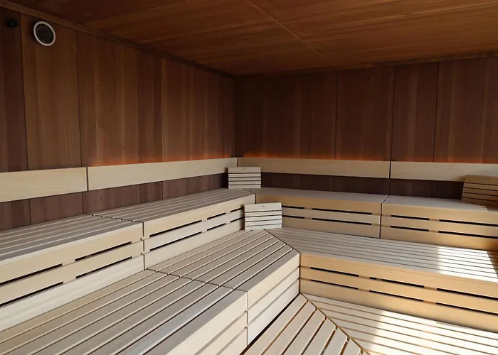 达桑临驰 - 洛泊多夫温泉酒店 4*